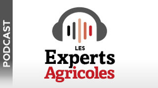Comprendre les nouvelles aides de la Pac 2023 Comprendre les nouvelles aides de la Pac 2023