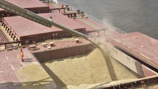 La production mondiale de blé prévue en 2022 devrait de 781,2 millions de tonnes. La production mondiale de blé prévue en 2022 devrait de 781,2 millions de tonnes.