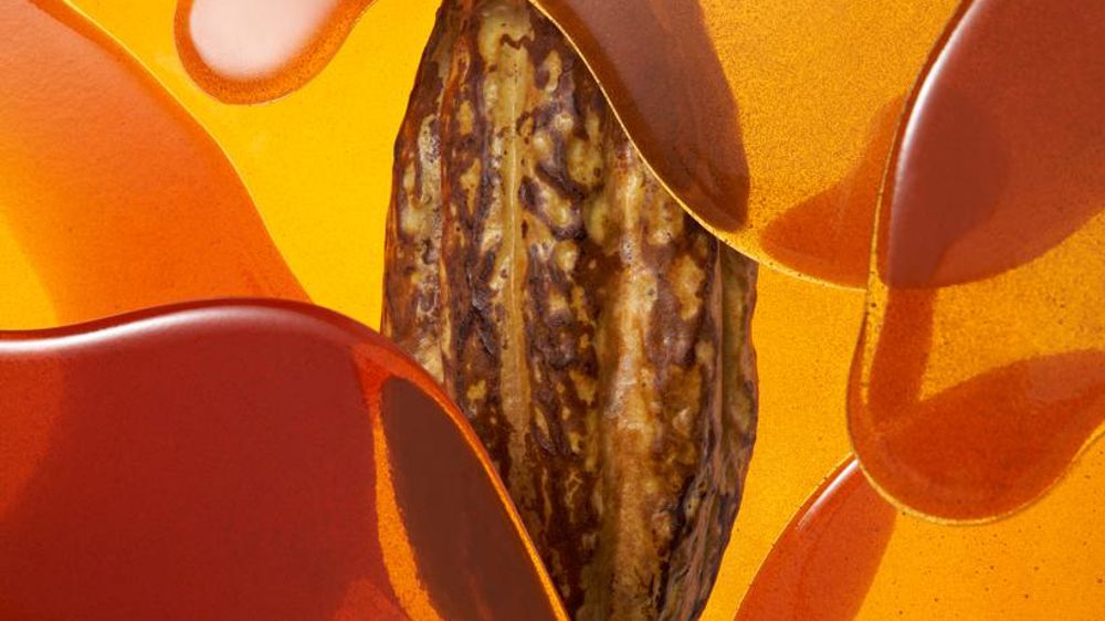 Nouveau cacao Oabika