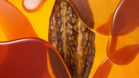 Nouveau cacao Oabika