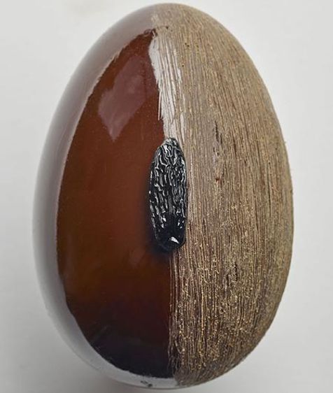  Oeuf du Brésil de Thierry Mulhaupt (Photo : Latoque.fr).