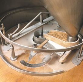       Blés anciens et farine fraîchement moulue font la saveur du pain vivant.
