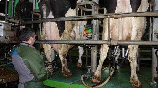 Baisse du prix du lait chez Lactalis