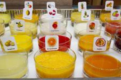Naturalité, goût et productivité expliquent le succès des purées surgelées auprès des glaciers (Photo : Latoque.fr). Purées de fruits surgelées (Photo : Latoque.fr). Naturalité, goût et productivité expliquent le succès des purées surgelées auprès des glaciers (Photo : Latoque.fr). Purées de fruits surgelées (Photo : Latoque.fr).