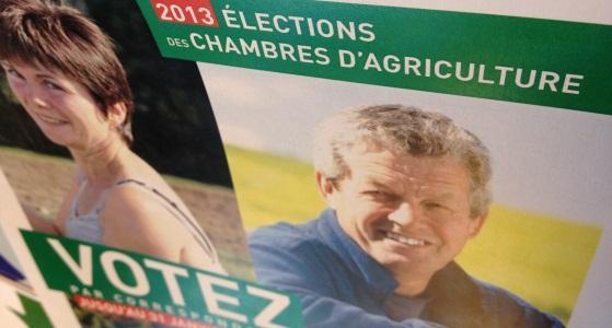 Elections chambres d'agriculture 2013