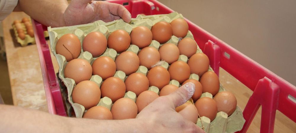       Assurez-vous que les producteurs fermiers soient en mesure de vous livrer les quantités dont avez besoin.
