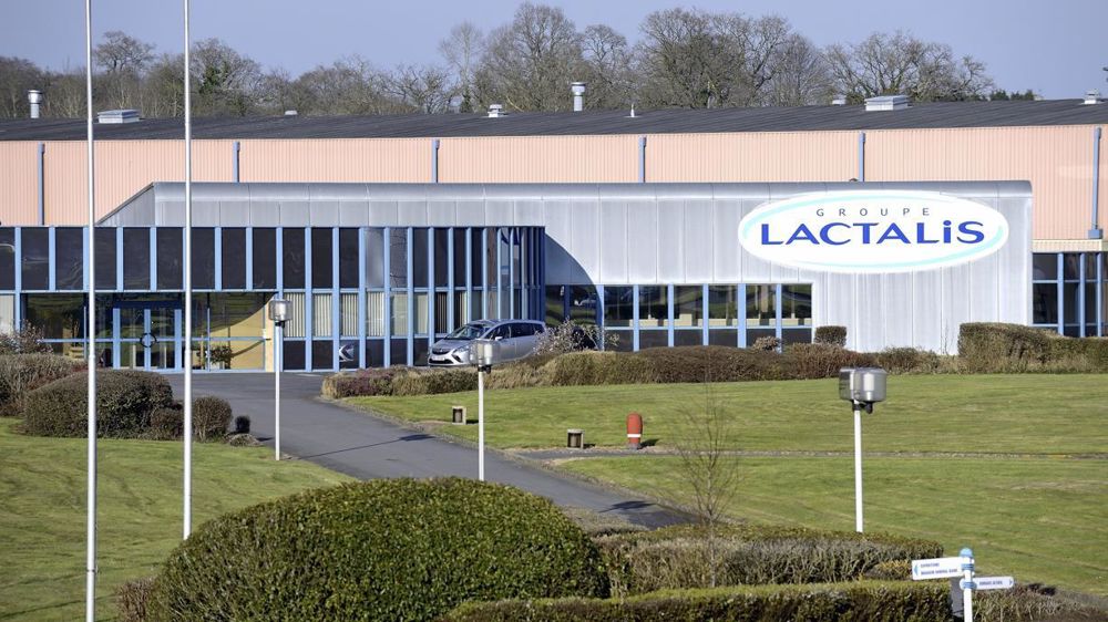 Industrie Laitière : Lactalis S'agrandit Au Brésil