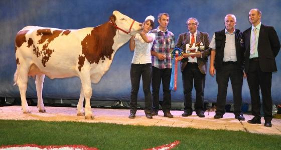 Fitness, Gande Championne