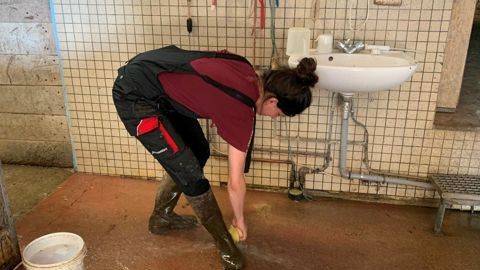 Désinfection. L’absence de points de lavage des mains et des bottes est trop souvent rencontrée dans les élevages bovins.                                                  C. Hue