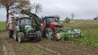 Assolement. Dans l’Aveyron et les départements limitrophes, des éleveurs cultivent chacun 2 ha/an en moyenne, soit 1 ha pour 30 vaches pendant quatre mois d’hiver, à raison de 3 kg de MS/vache/jour.d. Gremy / GFA Assolement. Dans l’Aveyron et les départements limitrophes, des éleveurs cultivent chacun 2 ha/an en moyenne, soit 1 ha pour 30 vaches pendant quatre mois d’hiver, à raison de 3 kg de MS/vache/jour.d. Gremy / GFA