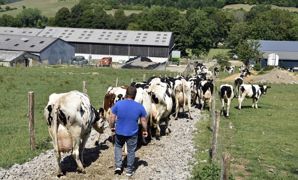 En 2022, les revenus des éleveurs laitiers français sont revalorisés mais leur niveau sera de nouveau décalé par rapport à ceux de leurs voisins d’Europe du Nord en raison de prix du lait une fois de plus bien inférieurs. En 2022, les revenus des éleveurs laitiers français sont revalorisés mais leur niveau sera de nouveau décalé par rapport à ceux de leurs voisins d’Europe du Nord en raison de prix du lait une fois de plus bien inférieurs.