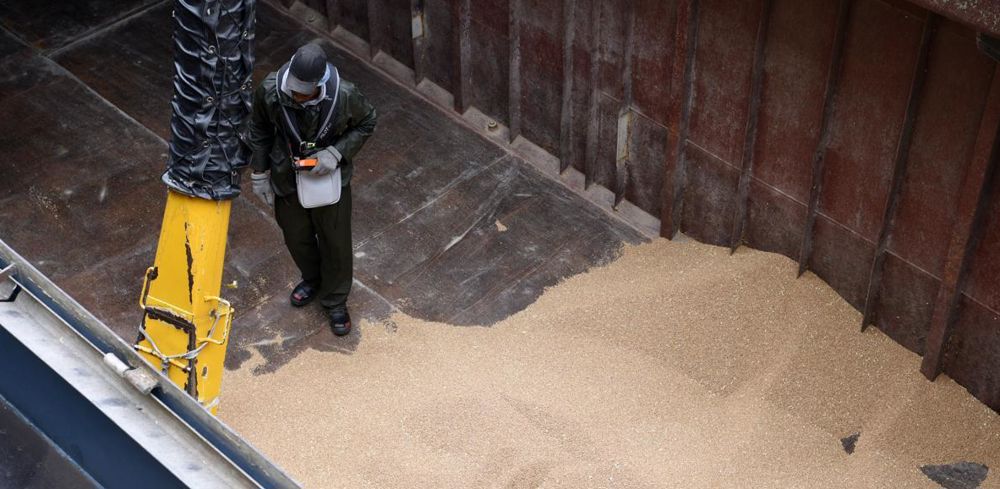 Les marchés se sont détendus ces dernières semaines après la reconduction de l'accord sur les exportations de céréales en mer noire.