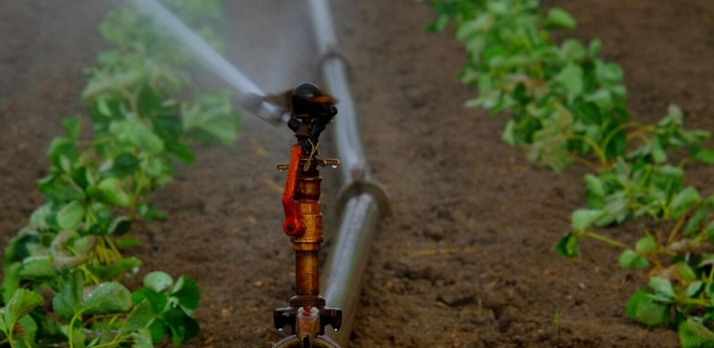 Dans un contexte de changement climatique et de sécheresses répétées, le Sénat s'exprime sur une « gestion territorialisée de l'eau » et la construction de nouvelles retenues « multi-usages ».