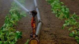 Dans un contexte de changement climatique et de sécheresses répétées, le Sénat s'exprime sur une « gestion territorialisée de l'eau » et la construction de nouvelles retenues « multi-usages ». Dans un contexte de changement climatique et de sécheresses répétées, le Sénat s'exprime sur une « gestion territorialisée de l'eau » et la construction de nouvelles retenues « multi-usages ».