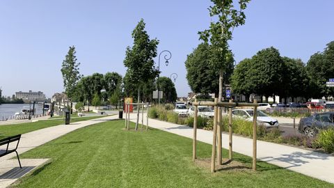 Planter oui, mais quelles essences ? Dans quelles conditions ? Telles seront les questions qui seront abordées le 2 février prochain à la SNHF à l’initiative du pôle Paysage de Verdir.