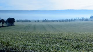 A l'échelle mondiale, le mois de novembre 2022 a été le plus frais depuis 2014. A l'échelle mondiale, le mois de novembre 2022 a été le plus frais depuis 2014.