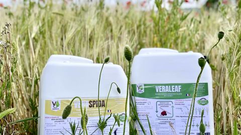 VERASPIDA et VERALEAF, des biostimulants issus de lombricompost