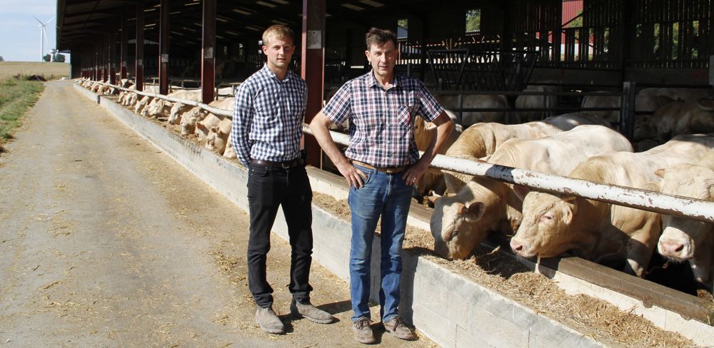 Hubert Boutin et son fils, Victor, ont choisi d'abaisser la densité par case, passant ainsi d'un total de 400 taurillons engraissés à 360 par an, pour maîtriser la maladie de Mortellaro dans leur élevage.