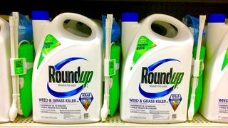 En France, le vente de glyphosate est interdite aux particuliers depuis 2019. (image d'illustration) En France, le vente de glyphosate est interdite aux particuliers depuis 2019. (image d'illustration)
