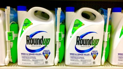 En France, le vente de glyphosate est interdite aux particuliers depuis 2019. (image d'illustration) En France, le vente de glyphosate est interdite aux particuliers depuis 2019. (image d'illustration)