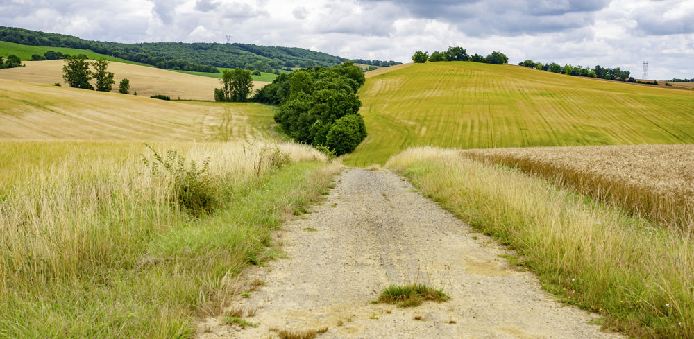 L'inventaire des chemins ruraux par les communes reste facultatif.