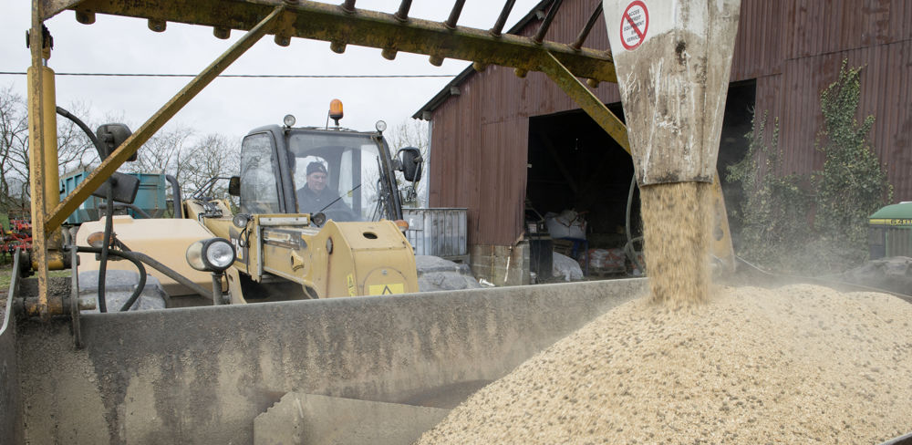 Selon les prévisions de la Commission européenne, la demande d'aliments pour animaux pourrait chuter de 4,7 % en 10 ans.