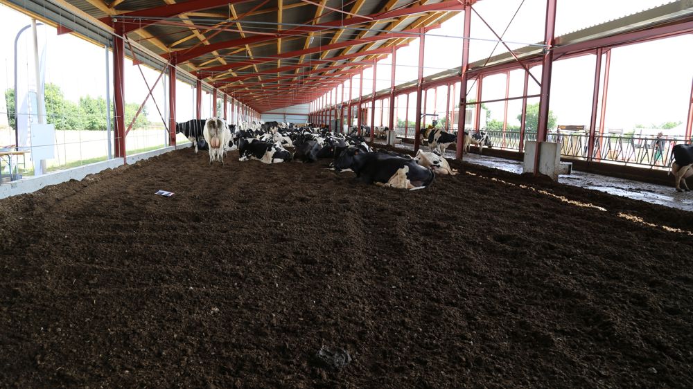 Les stabulations incluant une litière malaxée ne sont envisageables que dans des configurations très ventilées.