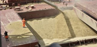 Les analystes s'attendent à une forte volatilité des marchés des grains en 2023. Les analystes s'attendent à une forte volatilité des marchés des grains en 2023.