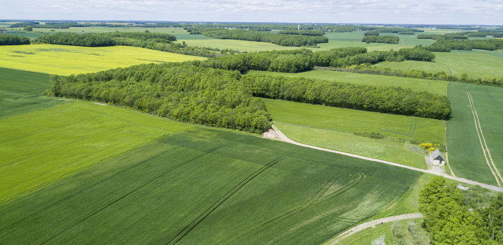 Les nouvelles règles de la Pac et le plan stratégique national (PSN) s'appliquent à partir de la campagne de 2023.