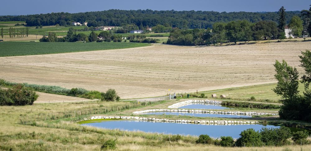 "Nous présenterons avec Chritophe Béchu et Agnès Firmin Le Bodo le contenu de ce plan eau, le 26 janvier prochain lors du carrefour des gestions locales de l’eau", astipuler la secrétaire d'Etat.