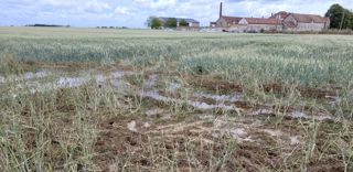 Les pertes de récoltes liées aux dommages causés par la chute de grêlons sont prises en charge par l’assurance récolte. Les pertes de récoltes liées aux dommages causés par la chute de grêlons sont prises en charge par l’assurance récolte.