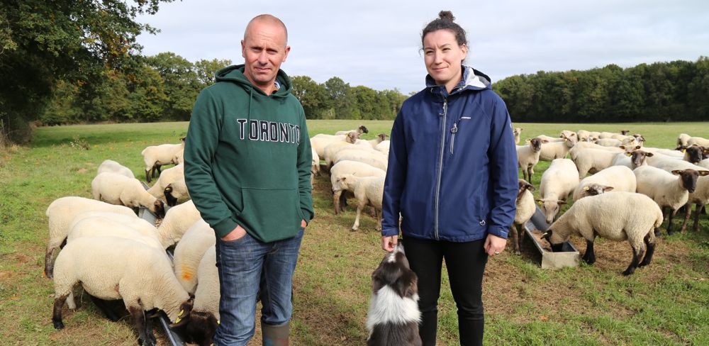 Les luttes courtes  s accompagnent d un constat de gestation systématique, expliquent Walter Hébert et Emman Bossis, technicienne à Sicarev coop, section Limovin. Cela permet de réalloter les animaux et de réformer celles qui sont vides.