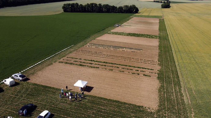 L'alliance BFC a mis en place un service Recherche et Développement qui s'appuie sur deux plateformes expérimentales de nouvelles cultures en Côte-d’Or (Aiserey, Baigneux-les-Juifs, ici, en photo) et bientôt une troisième.