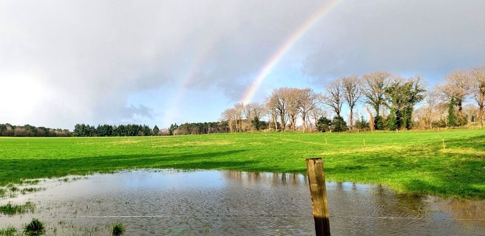 De fortes pluies sont à prévoir ce mardi 17 janvier avec des cumuls de 30 à 40 millimètres localement.