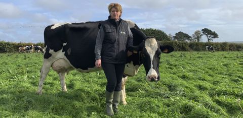 Sylviane Le Tirant a travaillé en priorité sur la gestion des mammites sur ses 60 vaches laitières. Sylviane Le Tirant a travaillé en priorité sur la gestion des mammites sur ses 60 vaches laitières.