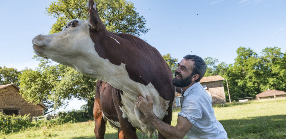 Pierre-Antoine Raimbourg engraisse ses boeufs, ses génisses et ses vaches au foin et à l herbe.