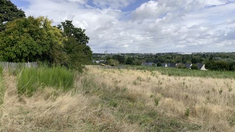 Cette forêt urbaine d'Angers (49) ne rentre aucunement dans les calculs, mais Annabel Porté, chercheure à l’Inrae, a calculé le coût moyen ramené à l'hectare de plusieurs réalisations en France et estime qu'il est très élevé. (Photo d'archives datant de septembre 2021, dans le cadre de Vegetal Connect.)