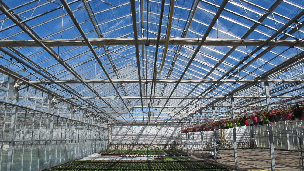 Pour les horticulteurs, la situation par rapport au prix de l'énergie implique de trouver le moyen de cultiver à des coûts acceptables.
