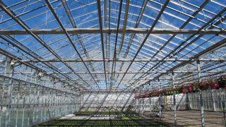 Pour les horticulteurs, la situation par rapport au prix de l'énergie implique de trouver le moyen de cultiver à des coûts acceptables. Pour les horticulteurs, la situation par rapport au prix de l'énergie implique de trouver le moyen de cultiver à des coûts acceptables.