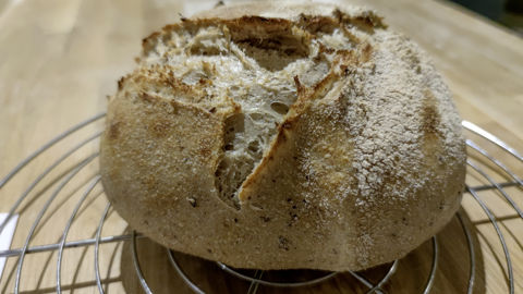 Ce pain précuit a été sorti du four après gélatinisation complète de l’amidon. Sa structure est définitivement acquise. Il pourra être recuit à la demande, avec ou sans congélation intermédiaire.