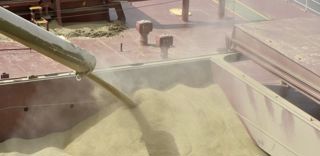 La détente des prix à la production de l’ensemble des produits agricoles se poursuit au mois de décembre 2022. La détente des prix à la production de l’ensemble des produits agricoles se poursuit au mois de décembre 2022.