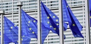 La Commission européenne adopte des limites plus strictes pour les résidus de pesticides afin de protéger les insectes pollinisateurs. La Commission européenne adopte des limites plus strictes pour les résidus de pesticides afin de protéger les insectes pollinisateurs.
