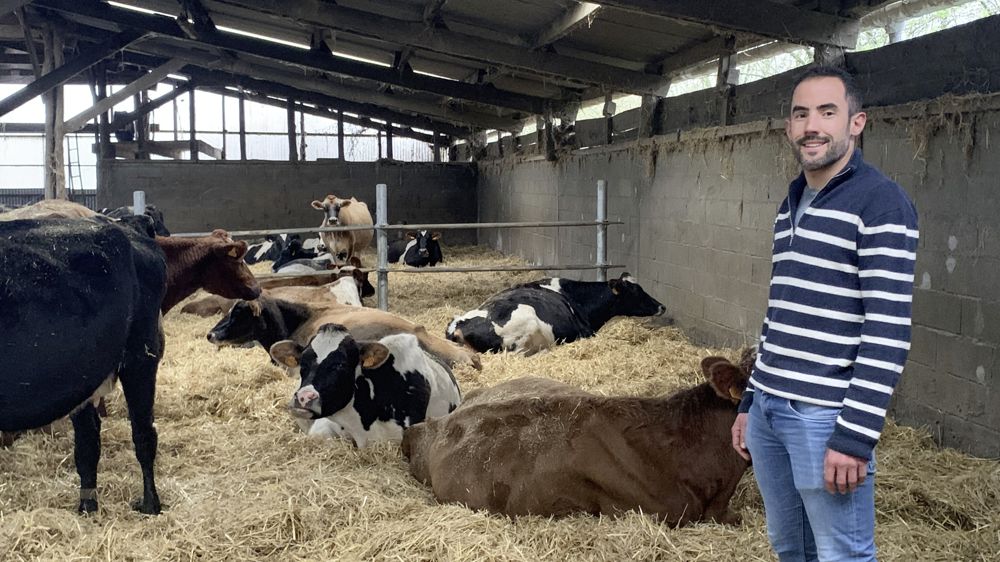 Antoine Beduneau est éleveur de
55 vaches laitières en croisement trois voies sur 47 ha de SAU, 100% herbe, à Chemillé-en-Anjou dans le Maine et Loire (230000l livrés à Biolait). Antoine Beduneau est éleveur de
55 vaches laitières en croisement trois voies sur 47 ha de SAU, 100% herbe, à Chemillé-en-Anjou dans le Maine et Loire (230000l livrés à Biolait).