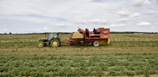 La section des fermiers de la FNSEA s'oppose à la possibilité de sous-louer un bail rural. Le député Jean Terlier proposait cette mesure pour certaines cultures comme la pomme de terre. La section des fermiers de la FNSEA s'oppose à la possibilité de sous-louer un bail rural. Le député Jean Terlier proposait cette mesure pour certaines cultures comme la pomme de terre.