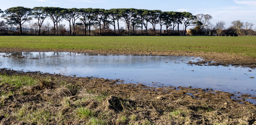 Un arrêté publié le 8 février 2023 a reconnu plusieurs communes en état de catastrophe naturelle