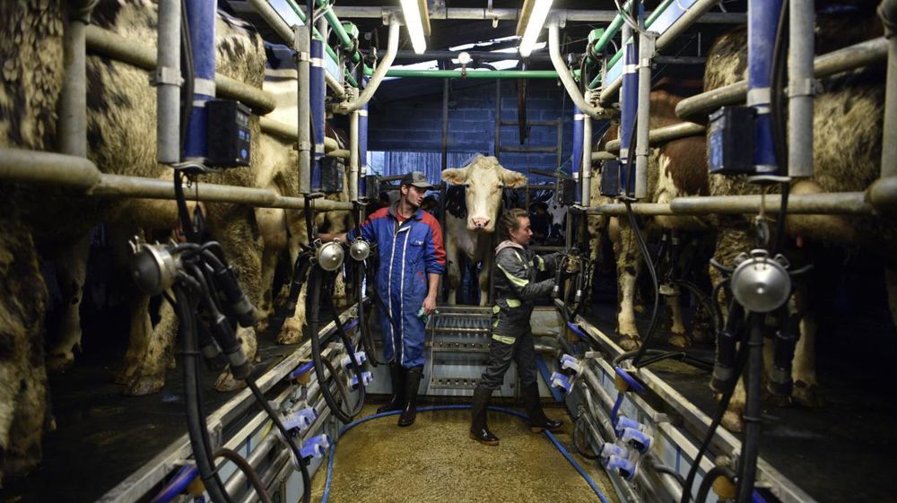 Le prix du lait a progressé fortement en 2022 mais n'a pas atteint les sommets espérés.