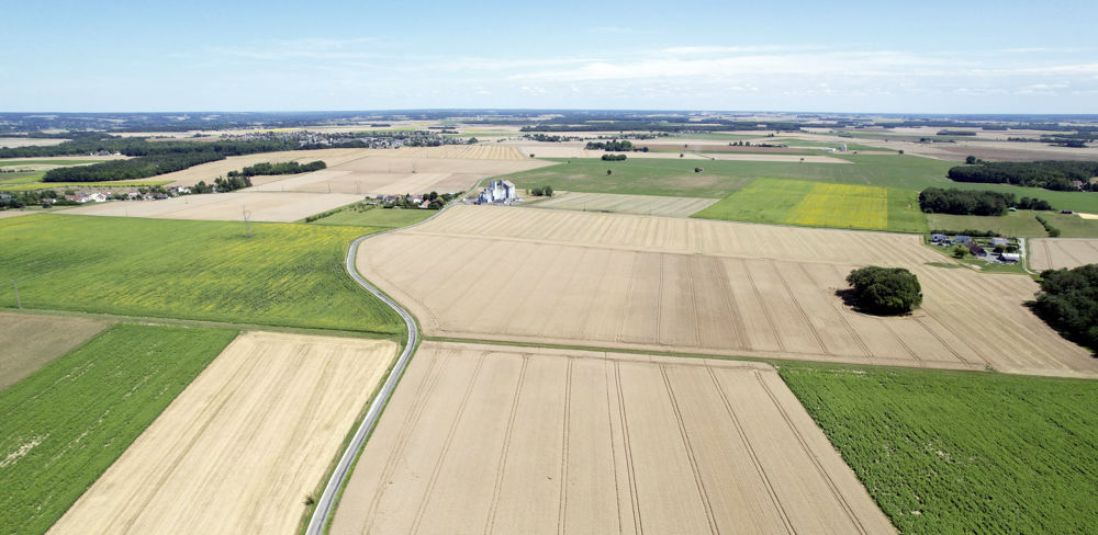 En 2022, la sole en blé tendre a diminué de 16 % par rapport à la moyenne des cinq dernières années.