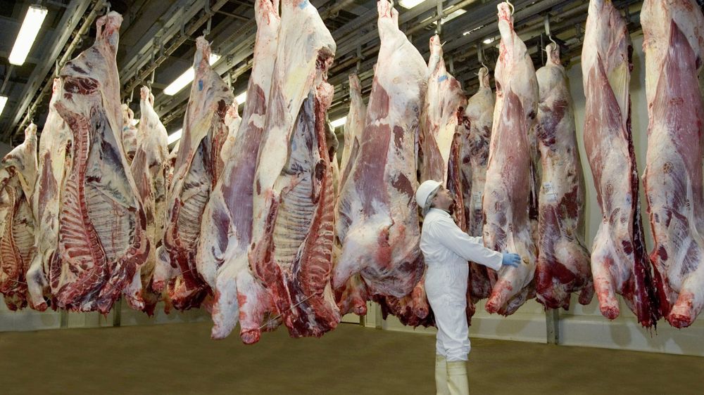 En France, volumes de gros bovins abattus sont en baisse de 4,1 % en 2022, par rapport à 2021.