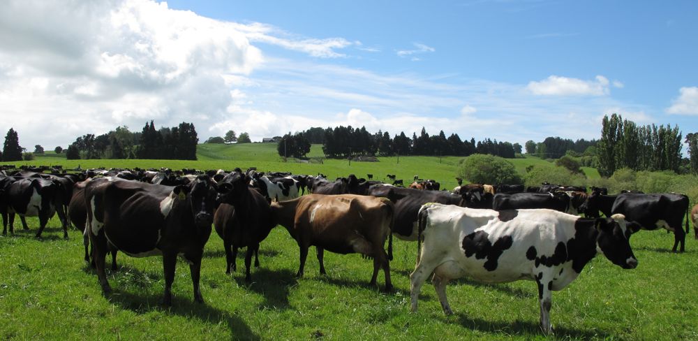 L'accord commercial entre l'UE et la Nouvelle-Zélande va passer devant le Conseil européen.