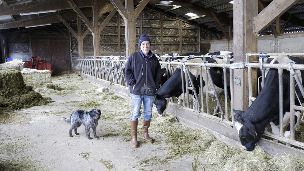Vincent Buffier mise sur l'herbe pour être autonome. L'hiver, il distribue une ration d'ensilage et de foin.